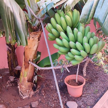 Casita La Gomera San Sebastián de la Gomera Eksteriør bilde