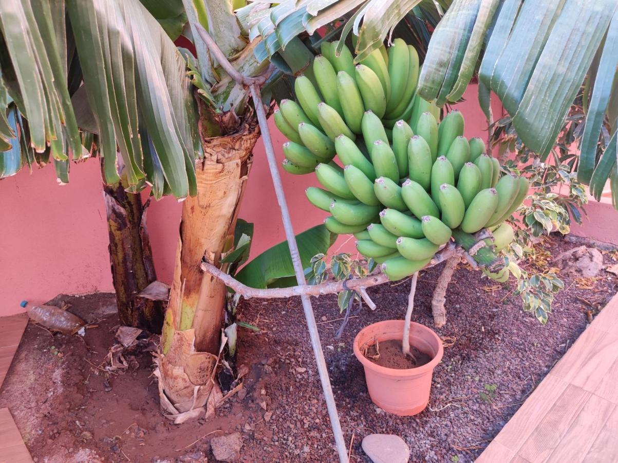 Casita La Gomera San Sebastián de la Gomera Eksteriør bilde